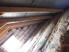 Отсутствие признаков огнебио-защитной обработки деревянных конструкций стропильной системы