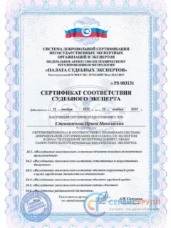 Степанычева И.Н. сертификат СЭ